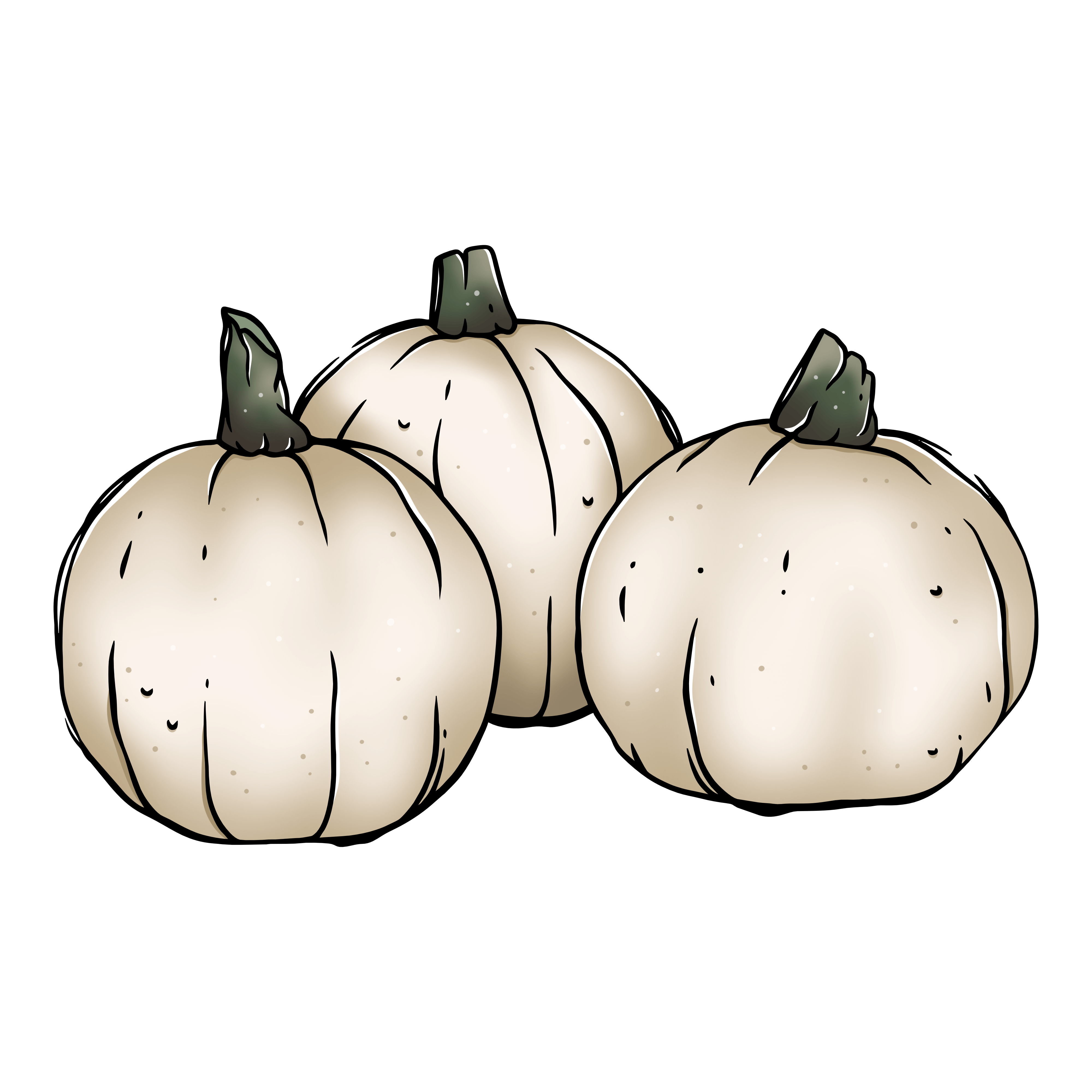 Mini White Pumpkins