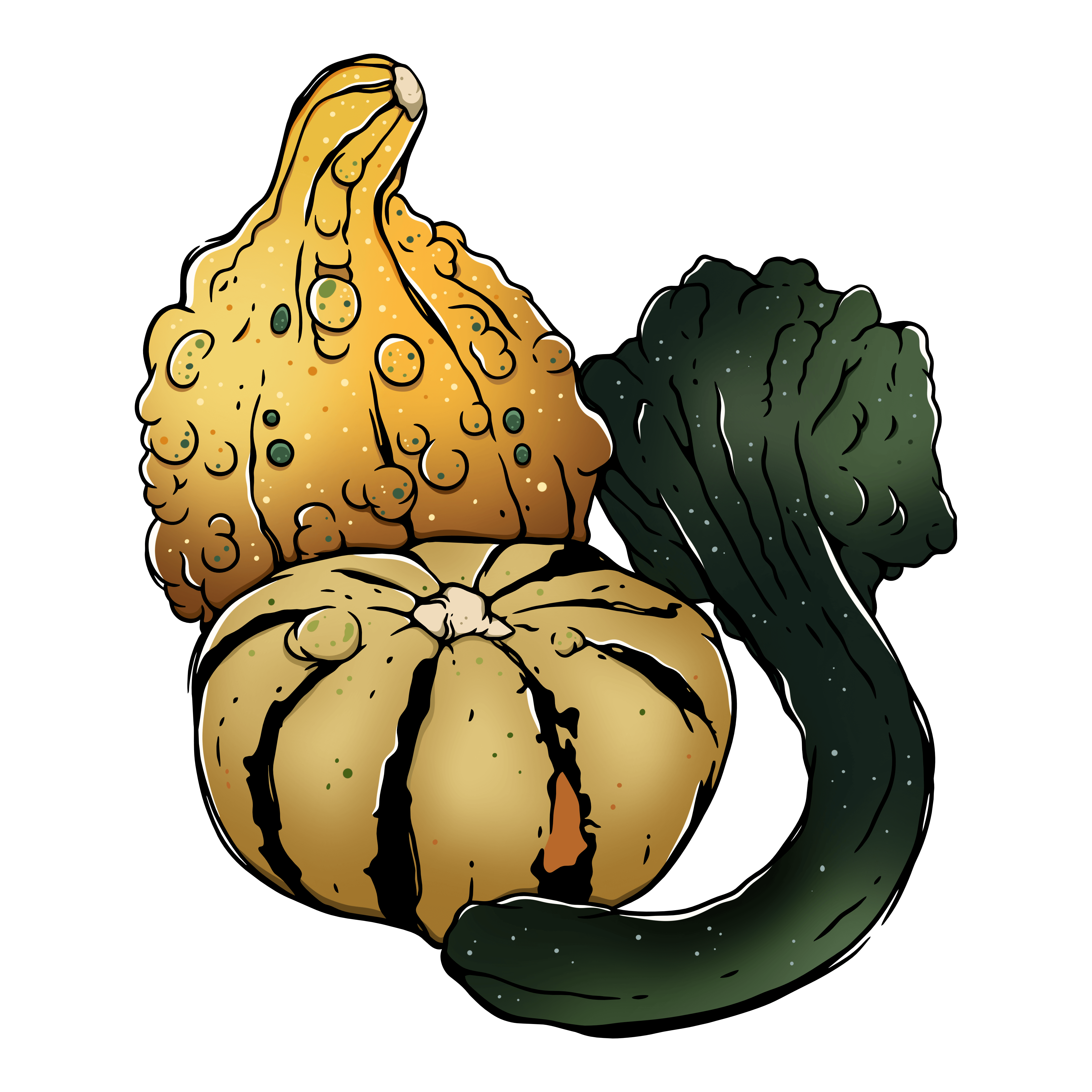 Ornamental Gourds