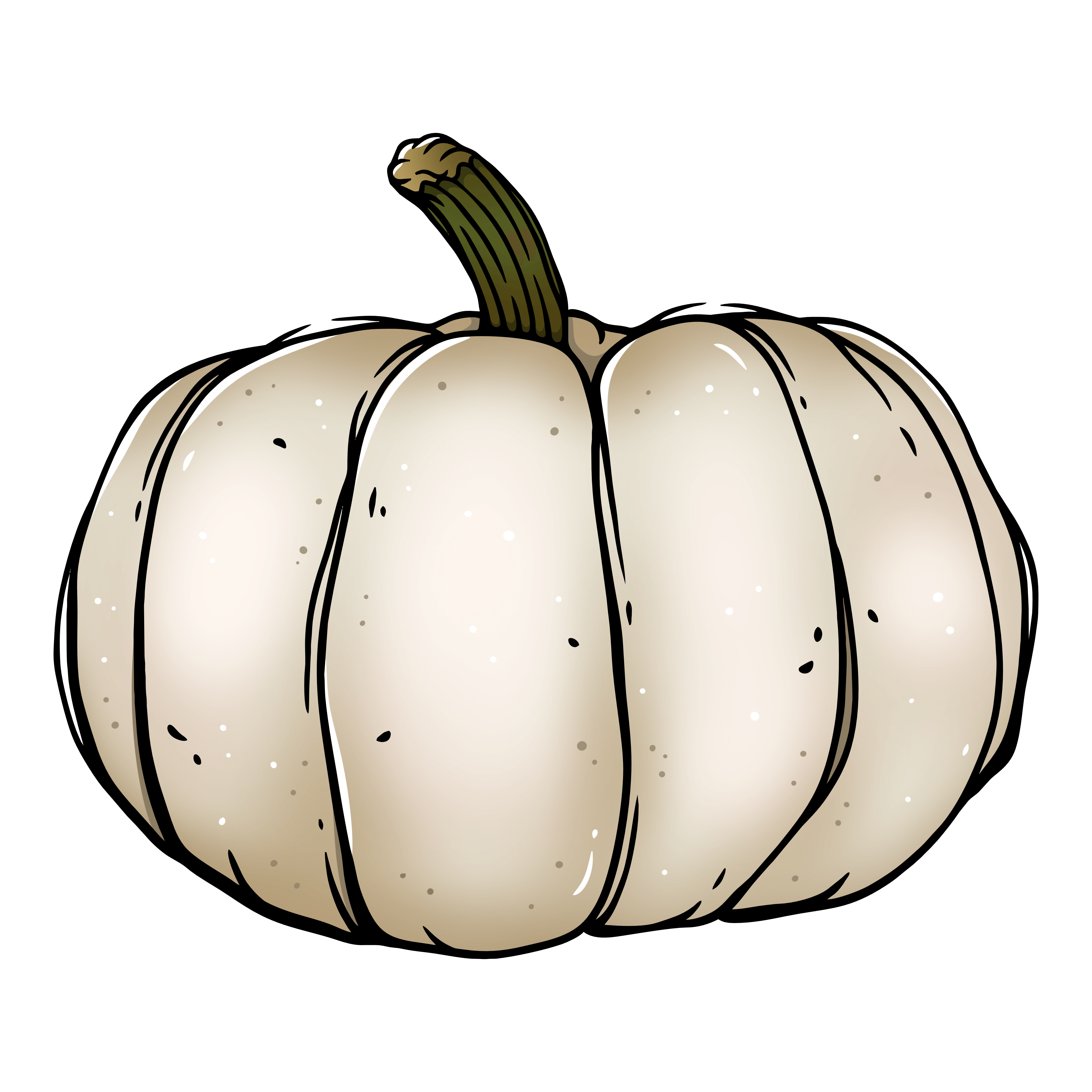 White Ghost Pumpkins